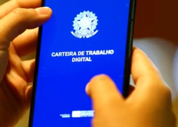 Crescimento Do Emprego No Brasil 2024 - Gazeta Mercantil
